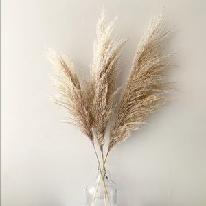 Meet your Posher, Karina